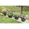 Gardenised Rustic Wood- Look Plastic Half Barrel Flower Pot Bucket Planter, PK 4 QI003696 - alternate 8
